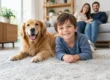 Best Solutions for High Traffic Carpets That Last