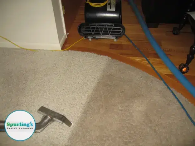 Carpet cleaning services Rochester NY: hot water extraction wand cleaning beige carpet