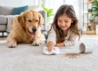 Carpet Stain Prevention That Actually Works