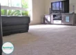 Clean carpeted living room after professional carpet cleaning