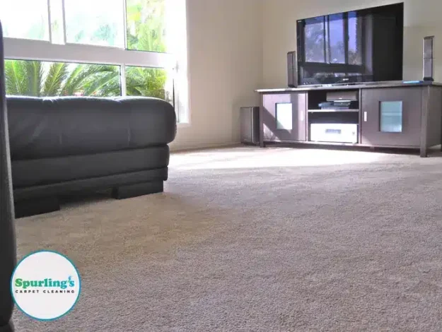 Clean carpeted living room after professional carpet cleaning
