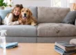Girl and golden retriever on a gray fabric sofa with a spray bottle and cloth on the coffee table