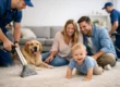 How to Choose Carpet Cleaners Who Deliver Results
