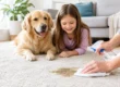 Pet Accident Carpet Treatment Guide for Homes