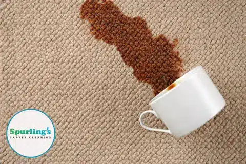 Spilled coffee cup leaving a stain on carpet