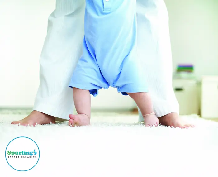 Carpet cleaning Fairport NY, Pittsford and Brighton: toddler on clean white carpet