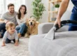 Upholstery Cleaning Webster NY That Lasts